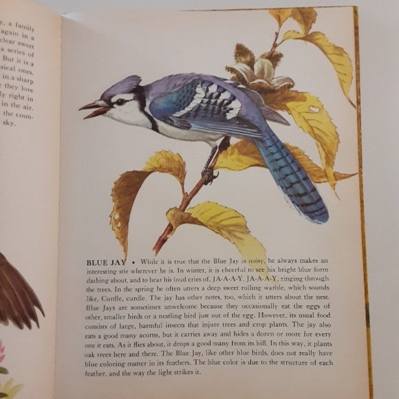 THE BOOK OF SONGBIRDS w/ 78 rpm record of bird songs - Picture 6 of 10
